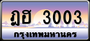 ทะเบียนรถ ฎฮ 3003 ผลรวม 16