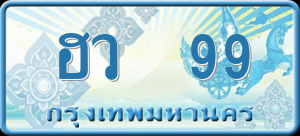 ทะเบียนรถ ฮว 99 ผลรวม 0